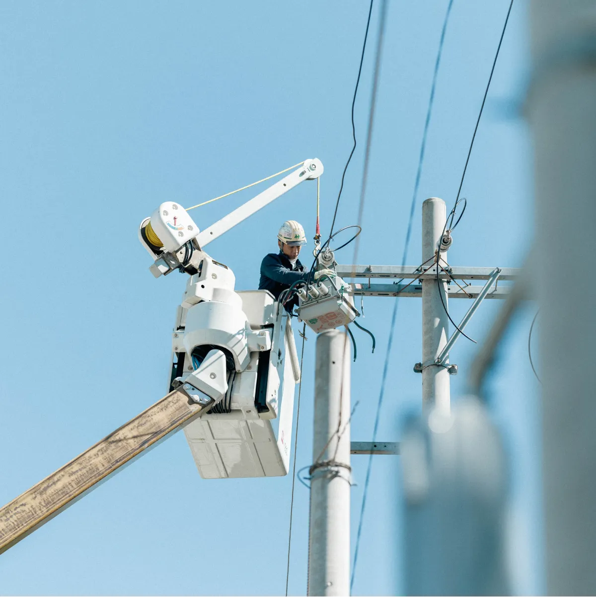 はしご車に乗って電線を確認する社員の写真