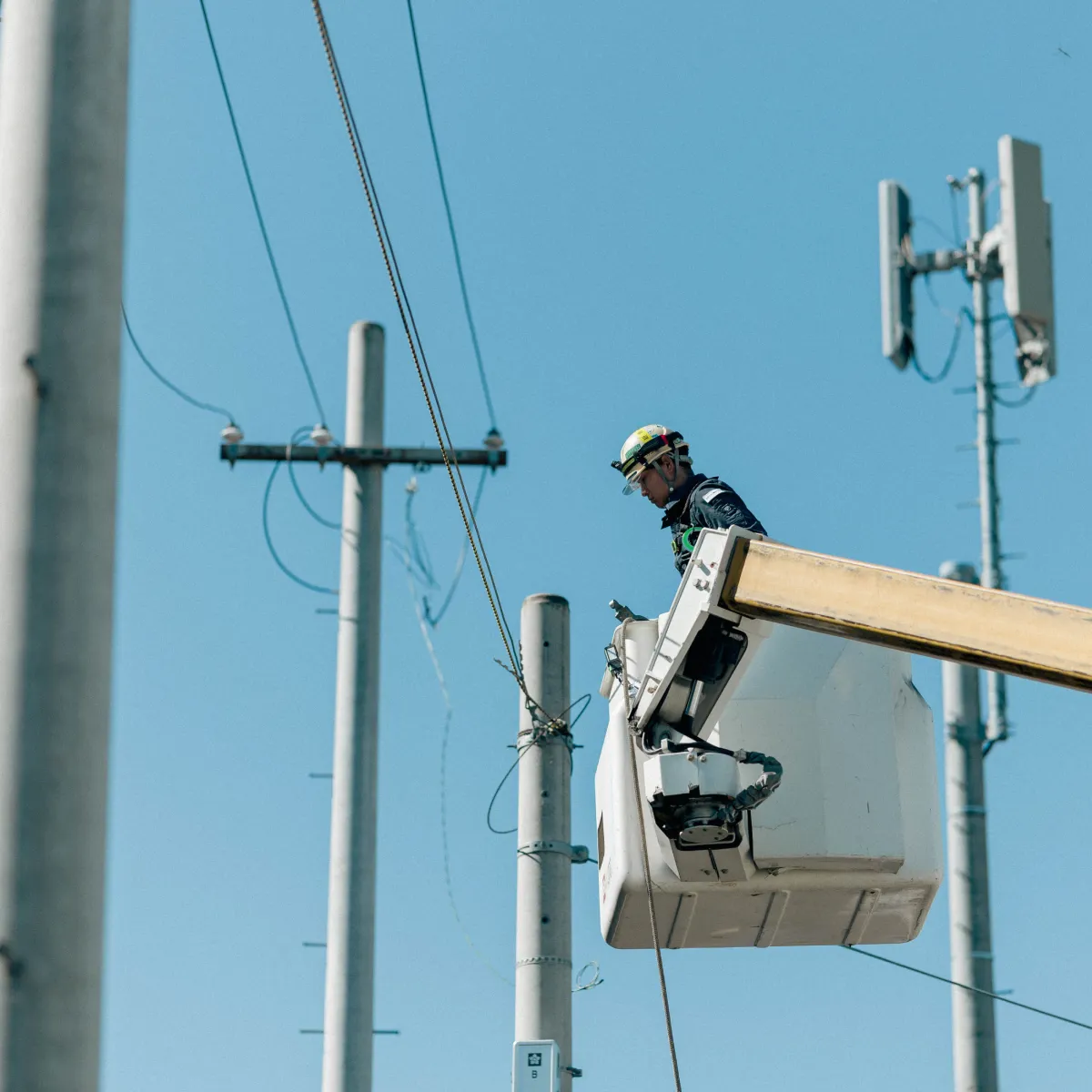 はしご車に乗って電線を確認する社員の写真